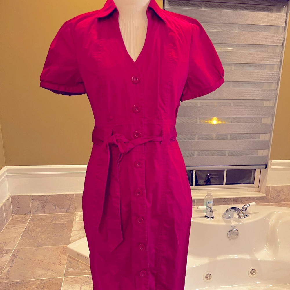 The Limited Work Dress Office Button Down - Stretch - Pink